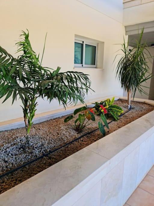 Homely Apt In Modern Building With Pool San Miguel de Abona Exteriér fotografie